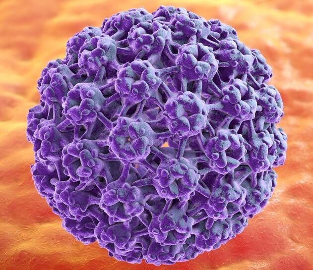 HPV 3D model of warts