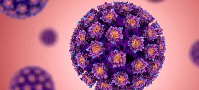 HPV is a human papillomavirus